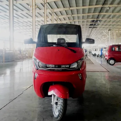 Cars EEC Personal Passenger Transportation Vehicles Cars