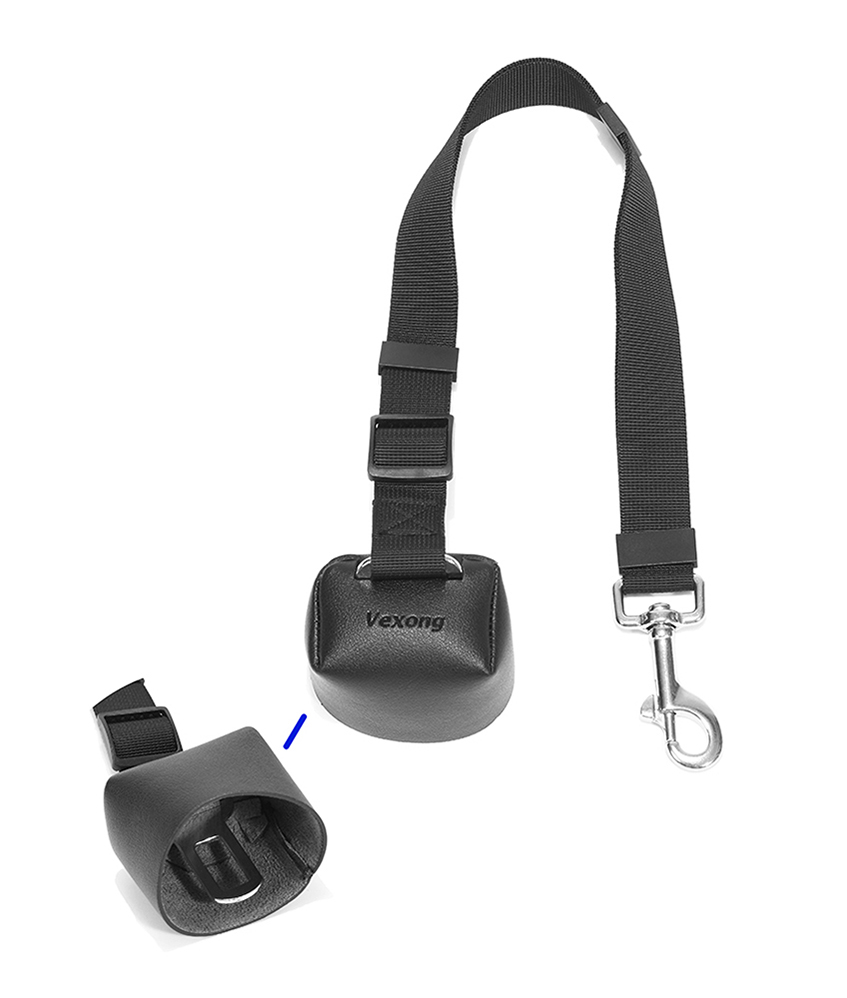 dog with leash