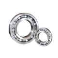 Single Row Deep Groove Ball Bearing (60980)