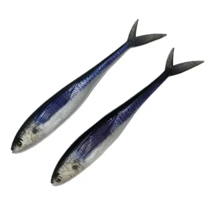 Soft Plastic Shad Lures - Fishing Tackle for Bass and More