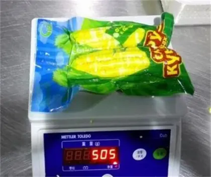 Golden yellow good taste sweet corn