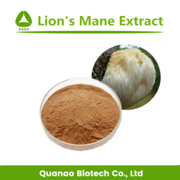 Hericium Erinaceus /Lion's Mane Mushroom Extract Powder 10:1