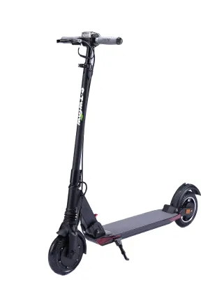 Best Electric Scooters: E-TWOW 500W 2-Wheel Scooter for Adults