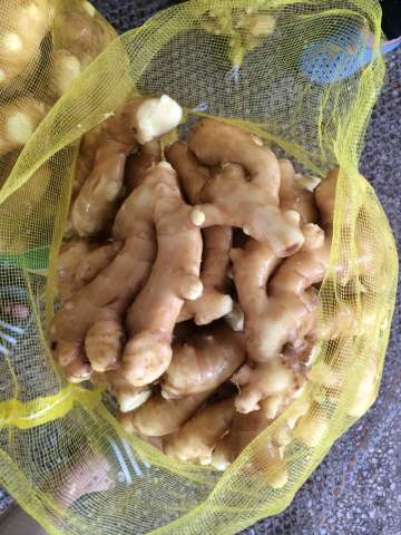 Fresh Ginger 150g Up