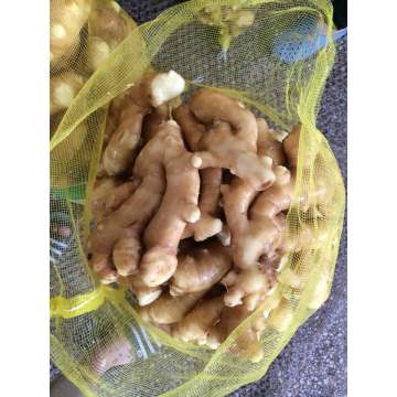 Fresh Ginger 150g Up