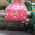 Color Coated Steel Coils RAL9016 9011 PPGI PPGL