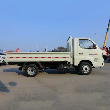 Foton Ruivo 122HP Mini Dump Truck