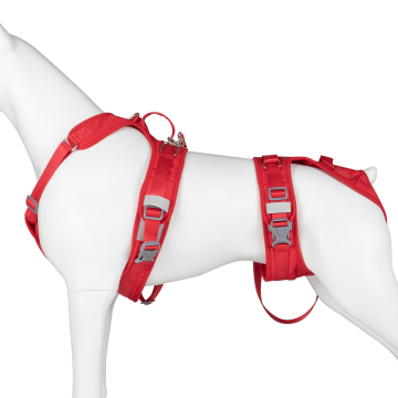 Ensemble de harnais d'assistance à chien de vente à chaud avec conception et écharpe fendue