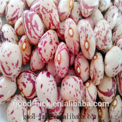 Speckled kidney beans