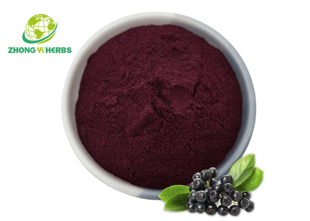 Bilberry powder