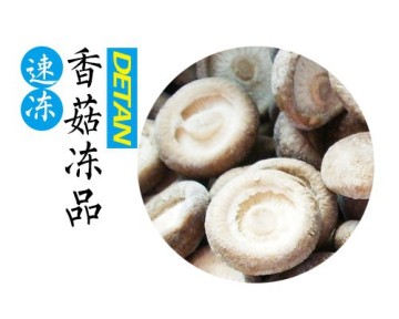 Organic Frozen Shiitake Mushroom Whole