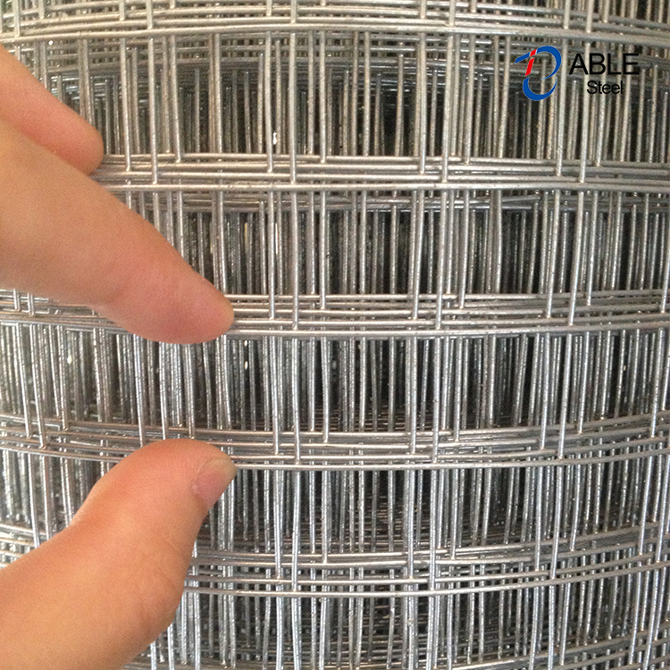 Construction Galvanized Hardware Cloth Welded Wire Mesh