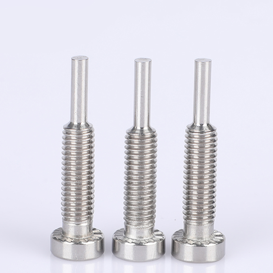 Stainless Steel Hexagon Socket Guide Screws (2)