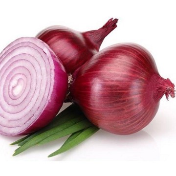 Brand Quality Red Onion
