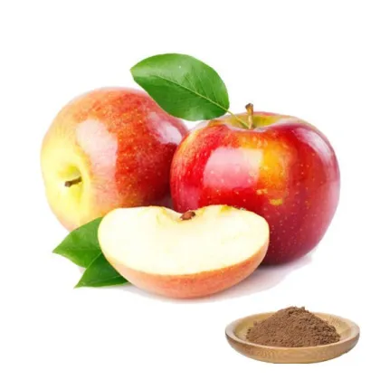 Apple peel extract Apple polyphenol