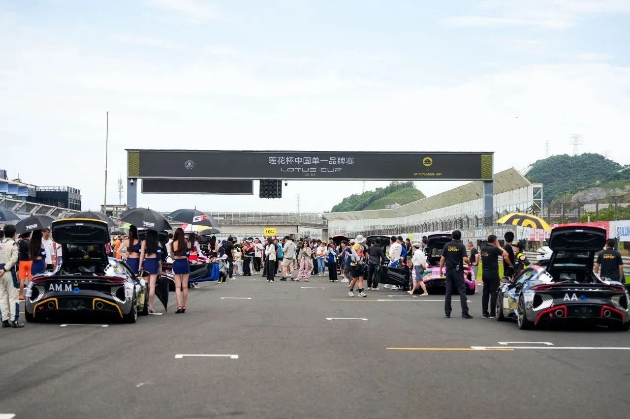 LOTUS Cupb3
