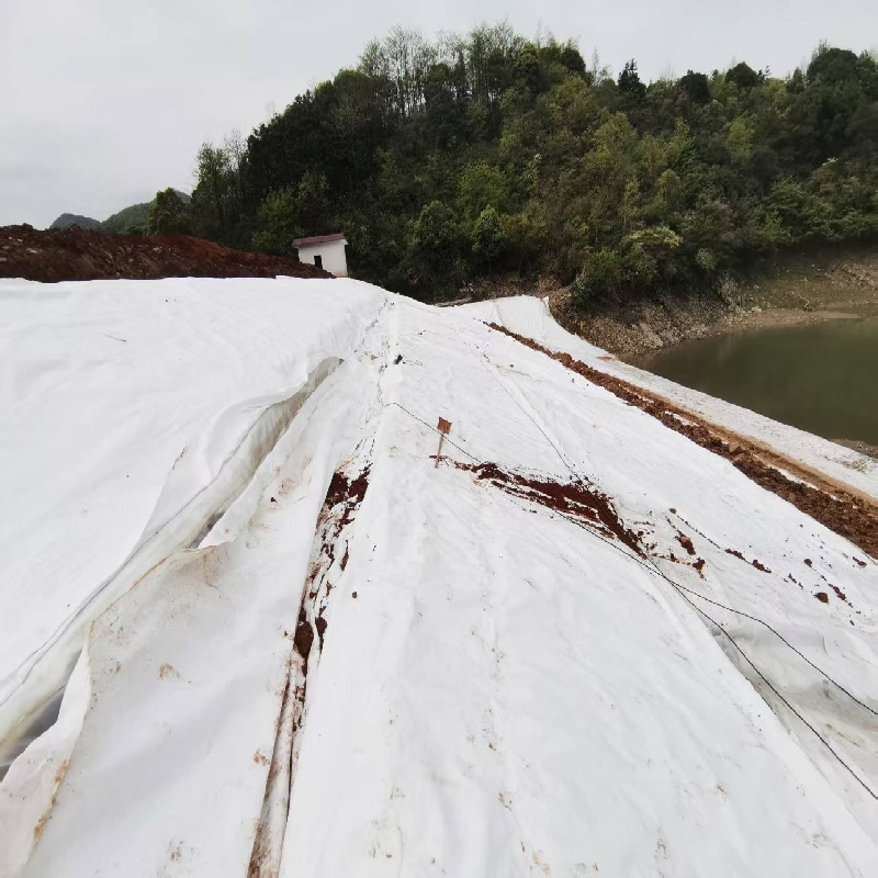 Composite Geomembrane for Construction Projects