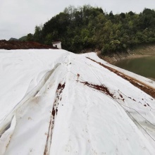 Композитная геомембрана для строительных проектов