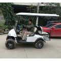 electric golf carts for sale with cheap prices