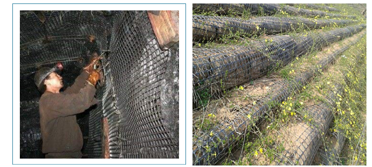plastic geogrid (10)