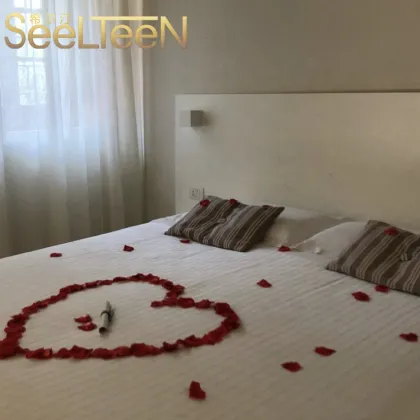 Modern Guesthouse Bedroom Furniture: Crown Plaza Hotels & Resorts