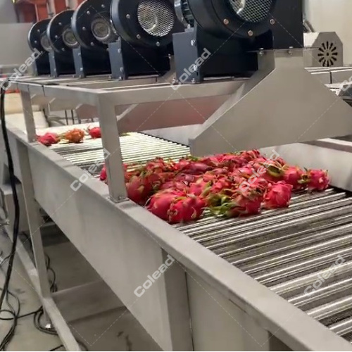 Fresh Cut Vegetables Air Dryer for vegetable processing