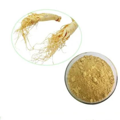Ginseng Root Extract Powder