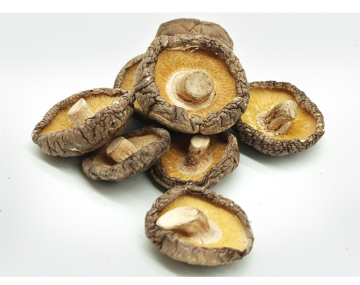 Organic mushroom green shiitake  dried mushroom