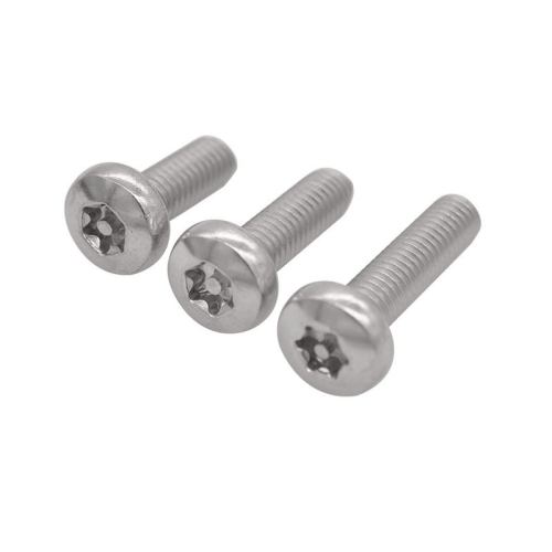 stainless steel pan head anti-theft screws