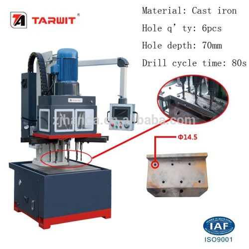 High performance multi spindle drilling machine TARWIT ZK5223x12 for deep holes