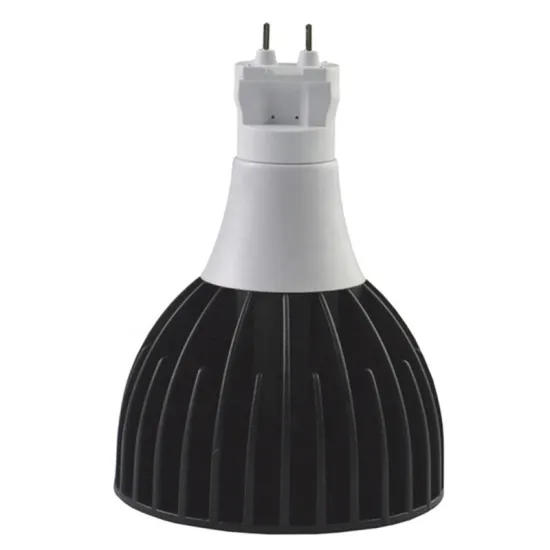 NO FAN LED PAR30 Floodlight Bulb - 30W G12 Retrofit for Halide 75W