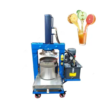 Stainless Steel Electric Hydraulic Cold Press Apple Juicer Fruit Pressing Machine