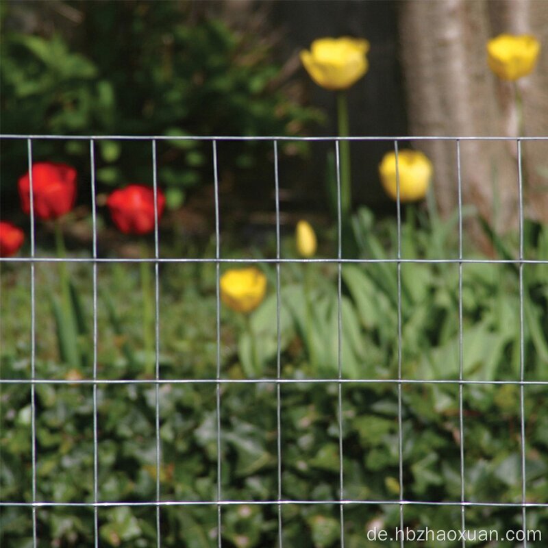 Selbstproduzierende mit niedrigem Preis, verzinktes geschweißtes Drahtnetz
