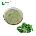 Food Ingredients kale juice powder