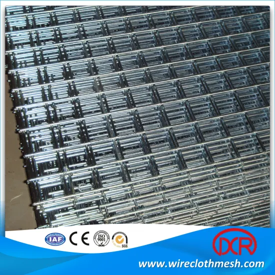 304 310 316 stainless steel welded wire mesh panel products
