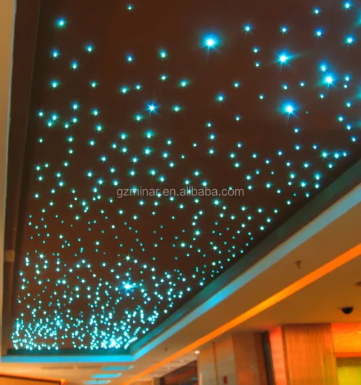 Hot Sale Dual Ports 24W RGBW Fiber Optic Light Engine with DMX