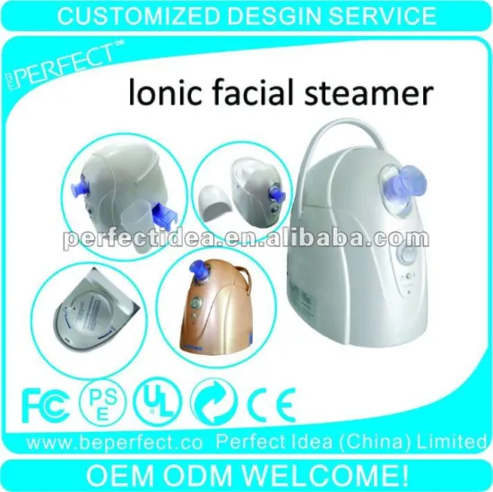 hair and facial steamer