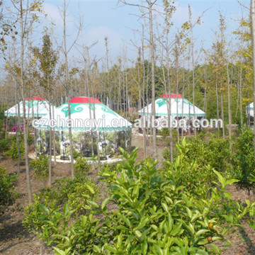 Popular Waterproof Outdoor Traditional Yurt,Canvas Mongolian Tent                        
                                                Quality Choice