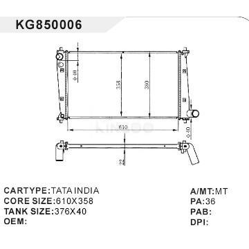 auto radiator car:TATA IONDIA