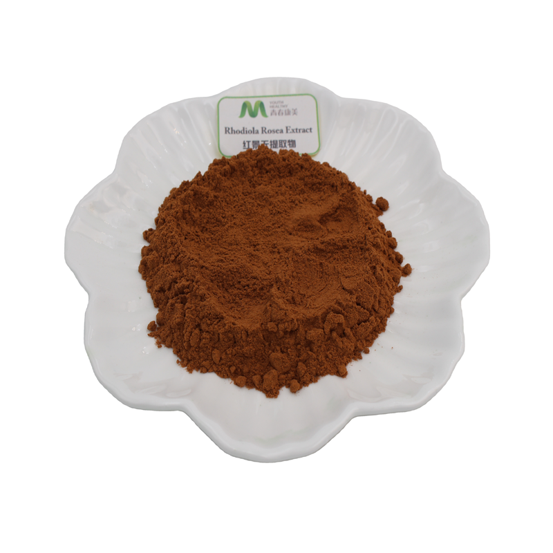 Herbal Extract Water Soluble Rhodiola Rosea Extract Powder