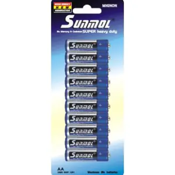 1.5V UM3 AA Size R6_B10PB Battery