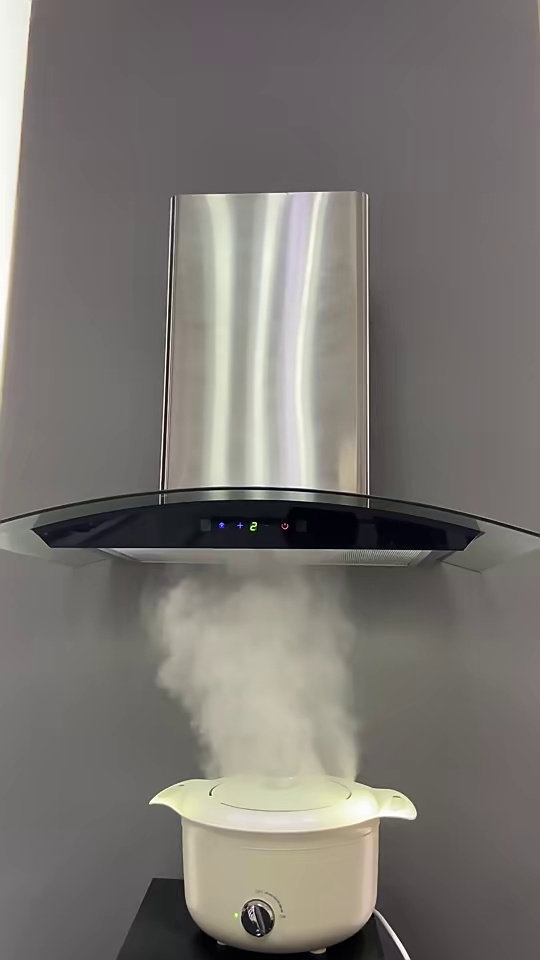 Stainless Steel 750mm High Quality SS Cooker Hood Wall Mounted Chimney Range Hood Kitchen Hood
