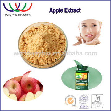 free sample ! wholesale organic extraction green apple extract , pure green apple bark extract