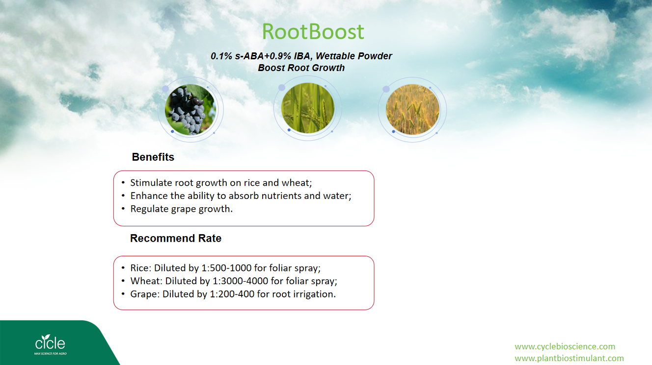 Rootboost
