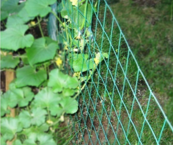 Filet de jardin d&#39;agriculture de maille en plastique expulsé