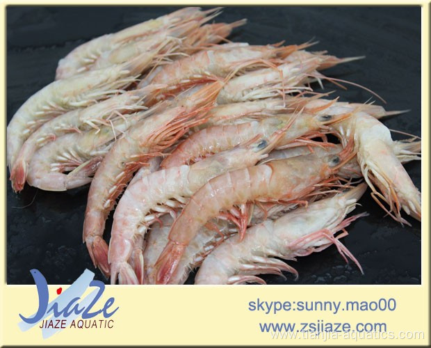 frozen pink shrimp IQF