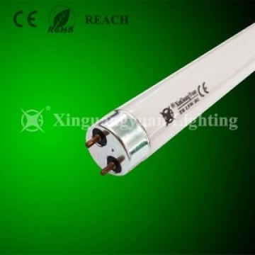 2ft T8 Lamp 18W