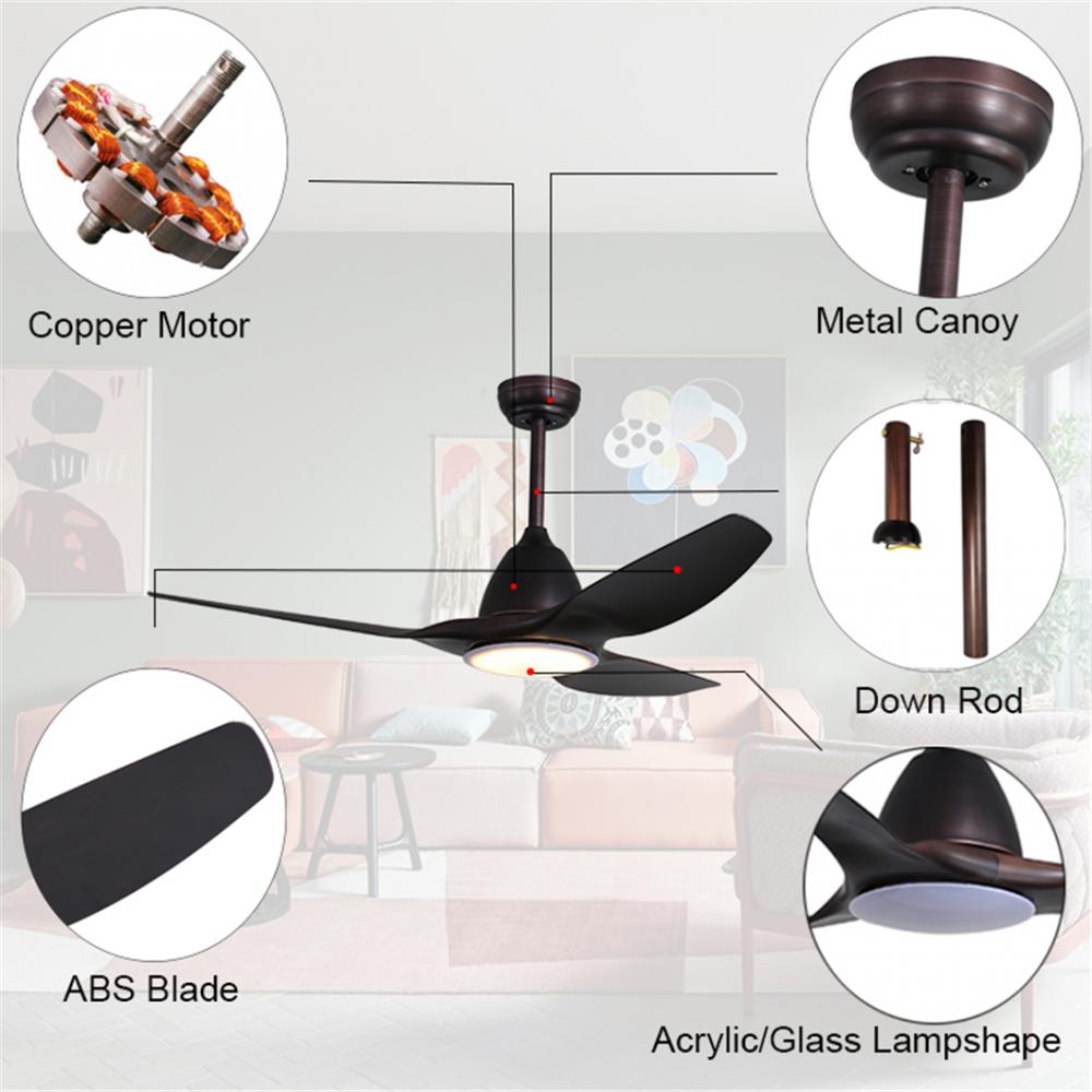 Kinds of Living Room 3 Blades DC Ceiling fan light, Wholesale Living