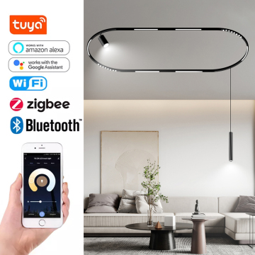 Lumière de piste à LED intérieure moderne avec Zigbee 48V 3CCT COULEUR COULEUR MAGNÉTIQUE COB LIGNE LIGNE LIGNE SALOPIÈRE