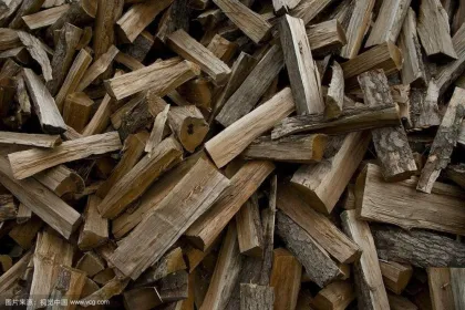 Tractor PTO Driven Lidl Vertical Log Splitter for Forest Logs